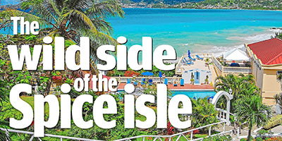 The Wild Side of the Spice Isle